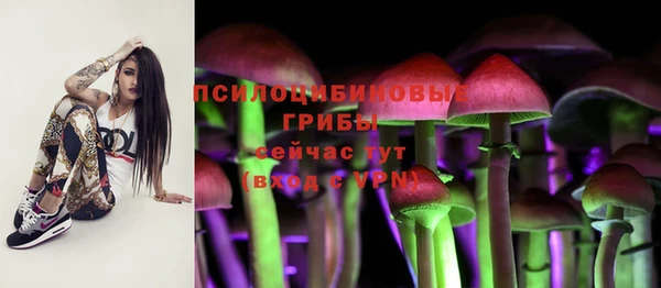 МДМА Горнозаводск