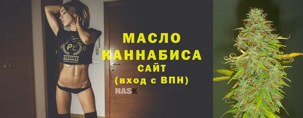 твердый Горняк