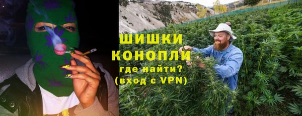 твердый Горняк