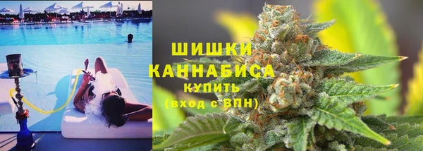 мдпв Горно-Алтайск