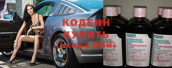 мдпв Горно-Алтайск
